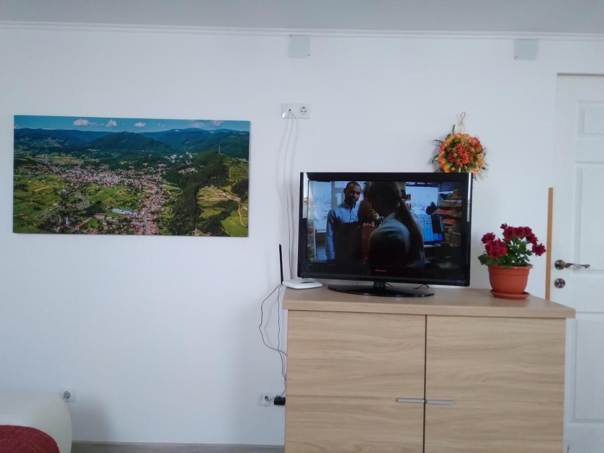 Raza Soarelui Apartament De Lux Sovata Buitenkant foto