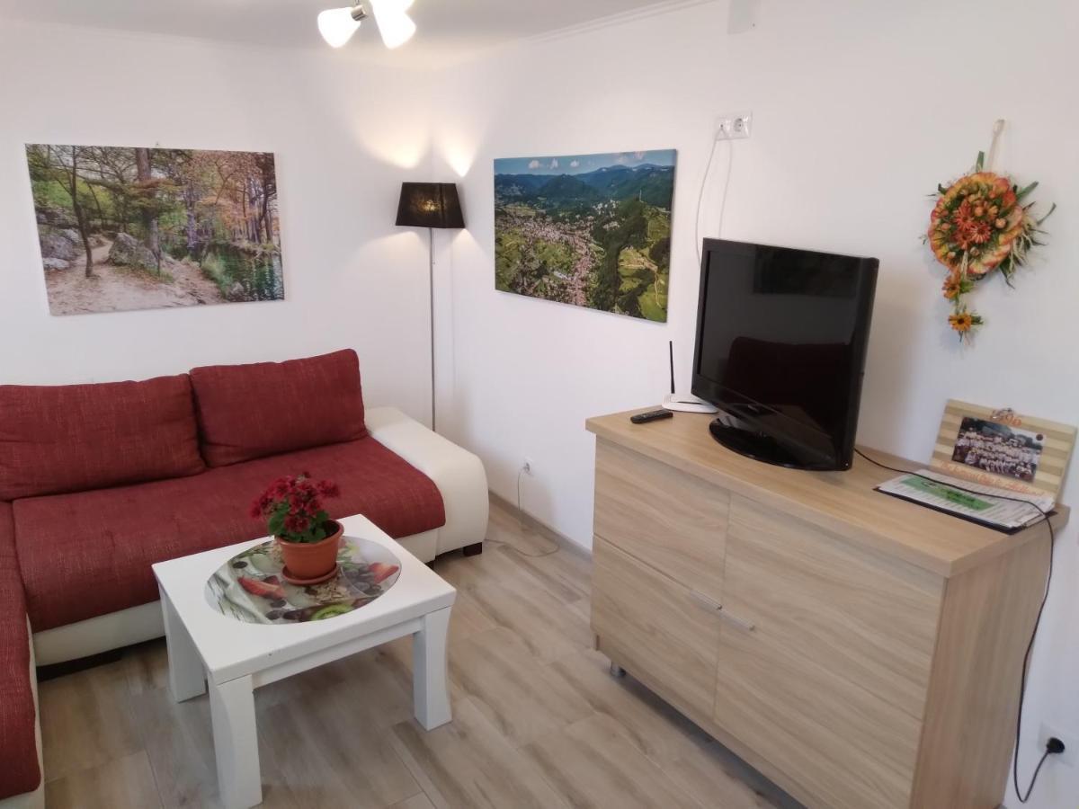 Raza Soarelui Apartament De Lux Sovata Buitenkant foto